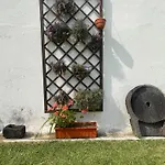 Aparthotel Sao Joao 3*