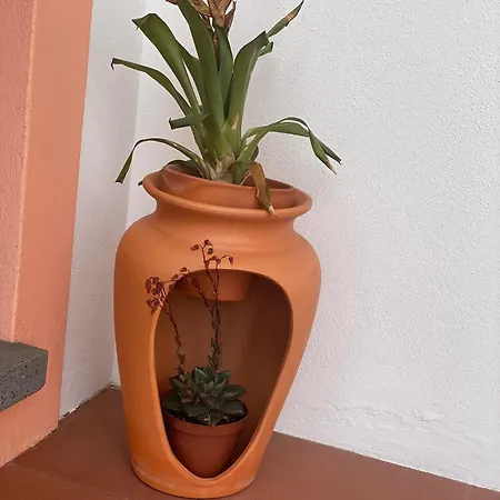 Sao Joao מלון דירות הורטה