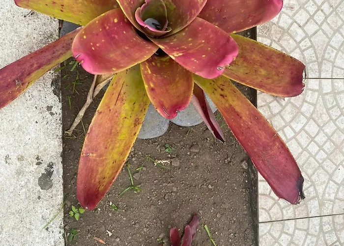 아파트호텔 Sao Joao 3*